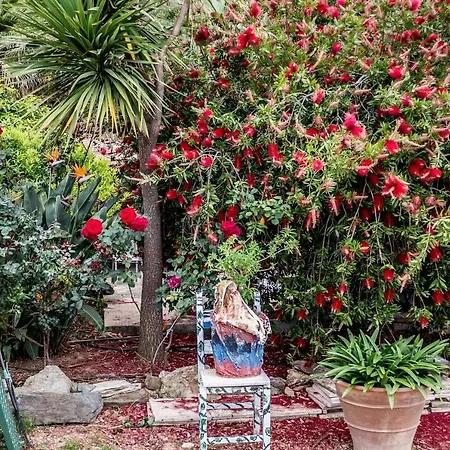 Olenia Apartment Agia Pelagia (Crete)